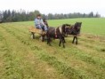 /album/fotogalerie/nejmensi-sprezeni-ponyexpres-jpg/